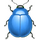 bug_blue