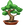 bonsai